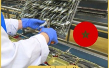المغرب أول مصدر "للسردين المعلب" في العالم