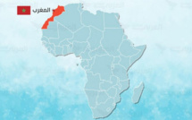 وزراء أفارقة يُشيدون بريادة المغرب في القارة السمراء