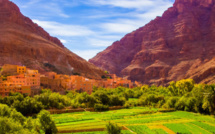 ورزازات تستضيف المؤتمر الدولي للواحات ونخيل التمر