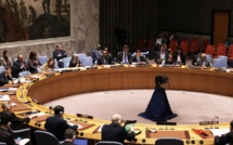 فشل مجلس الأمن الدولي في تبني مشروع قرار صاغته روسيا يدعو إلى وقف إطلاق نار إنساني في قطاع غزة