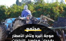  موجة البرد وتأخر الأمطار يهددان محاصيل الزراعات الخريفية