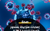 متحور فيروس كورونا الجديد JN.1