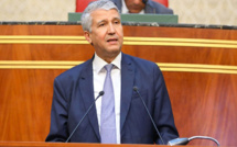 صديقي «مطلوب» للبرلمان لتقييم دعم مستوردي الأبقار والأغنام