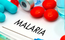 نداء لجميع المغاربة في كوت ديفوار: اتخذوا الاحتياطات اللازمة لتجنب الملاريا!