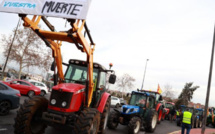 المزارعون الإسبان ينضمون إلى الحركة الاحتجاجية في أوروبا