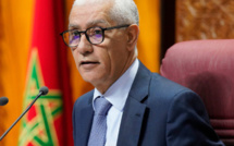 الطالبي العلمي يقود وفدا نيابيا هاما في زيارة عمل لموريتانيا