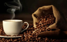 فوائد القهوة: القيمة الغذائية والمركبات الفعّالة