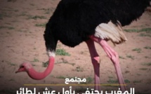 تطور بيئي ملفت