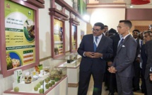الأمير مولاي الحسن يفتتح المعرض الدولي للفلاحة بمكناس
