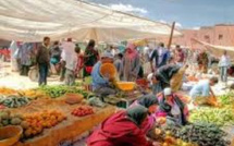 الحكومة تؤكد وفرة المواد الاستهلاكية واستقرار أسعارها استعدادًا لشهر رمضان