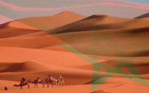 أربعون دولة تجدد دعمها لسيادة المغرب على صحرائه في مجلس حقوق الإنسان