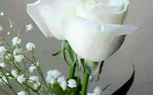 ( ما وراء الشعارات ) ؟؟؟