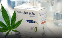 فارما 5 تستعد لطرح أول دواء مغربي يعتمد على القنب الهندي