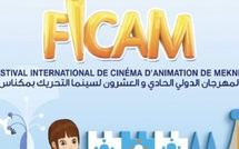 مكناس تستعد لاحتضان الدورة 23 من مهرجان سينما التحريك