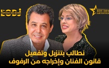 عبد الكبير الركاكنة : نطالب بتنزيل وتفعيل قانون الفنان وإخراجه من الرفوف
