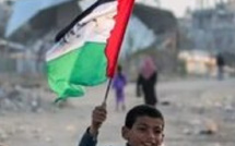 ترامب يعلن عن اتفاق مبدئي لوقف إطلاق النار في غزة: جهود دولية لإنهاء الحرب