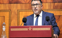 دعوة لاستقصاء رأي المجلس الوطني لحقوق الإنسان حول مشروع قانون تنظيم المجلس الوطني للصحافة