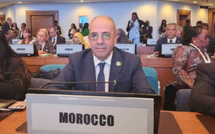 المغرب يدعو بأديس بابا إلى إنشاء صندوق دولي لتعزيز الأمن الغذائي في إفريقيا