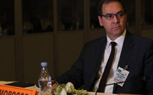 أديس أبابا.. المبادرة الملكية الأطلسية محور قمة إفريقيا-الكاريكوم الثانية