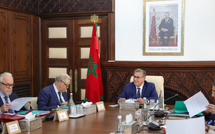 الحكومة تبسط شروط الولوج للشرطة البيئية لتعزيز عدد المفتشين وطنياً