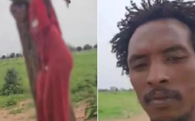 "علقوها على الشجرة" مأساة قسمة علي عمر: قصة الفتاة السودانية تثير غضبًا شعبيًا واسعًا