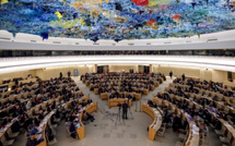 المغرب يرسخ مكانته كقاطرة للتنمية المستدامة في إفريقيا بإشادة من جنيف 