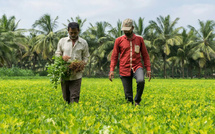 المغرب يعزز مكانته كمورّد استراتيجي للهند بصادرات أسمدة تفوق نصف مليار دولار