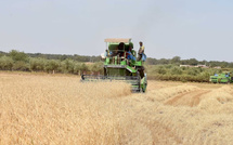 مالية 2026.. نمو متسارع وتضخم متراجع مع ضبط النفقات وتحسين الاستثمار