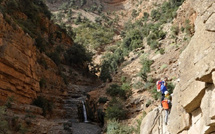الخريف يلوّن الجبال ويُشعل موسم السياحة: حجوزات قياسية وانتعاش اقتصادي واعد