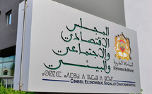المجلس الاقتصادي يحذر من "الطابع التأديبي" لمشروع قانون إعادة تنظيم المجلس الوطني للصحافة