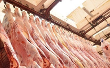 ارتفاع صادرات الاتحاد الأوروبي من لحوم الأبقار والمواشي نحو المغرب بنسبة 25.7% خلال النصف الأول من 2025