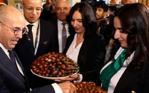 أرفود تحتضن ملتقى التمر الدولي بحضور أكثر من 230 عارضا و90 ألف زائر