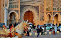 مجلس الحكومة يصادق على إحداث منطقة التسريع الصناعي بمكناس ويضيف مؤسسات جديدة إلى لائحة الشراكة التعليمية