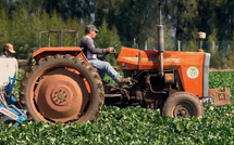 مشروع قانون المالية 2026: تحويل “صندوق التنمية القروية” إلى “الصندوق الترابي المندمج” لتعزيز العدالة المجالية