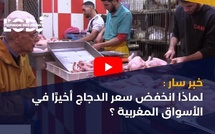 خبر سار : لماذا انخفض سعر الدجاج أخيرًا في الأسواق المغربية ؟