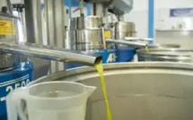 مراقبة جودة زيوت الزيتون: حماية المستهلك وضمان سلامة القطاع الغذائي