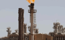أزمة “بتروفاك” تهدد استثمارات الطاقة في الجزائر وتزيد من المخاطر الاقتصادية