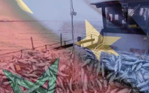 بروكسل تسعى لإعادة التفاوض حول اتفاقية الصيد مع المغرب بعد إلغاء الاتفاق السابق