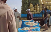 ارتفاع أسعار الأعلاف يثير قلق الكسّابة المغاربة رغم صرف الدعم الحكومي