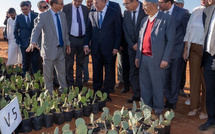 وزير الفلاحة يتفقد برامج “الجيل الأخضر” في إقليمي الجديدة وبنسليمان