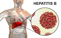 منظمة الصحة العالمية تكرّم جهود المغرب في السيطرة على التهاب الكبد "ب"
