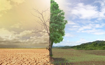 المغرب يحتل المرتبة السادسة عالمياً في مؤشر الأداء المناخي العالمي CCPI 2026