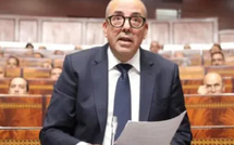 وزير الفلاحة يكشف عن موسم واعد للحمضيات المغربية