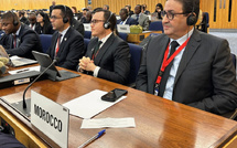 المغرب يوسع حضوره داخل المنظمة البحرية الدولية عبر التعاون جنوب–جنوب