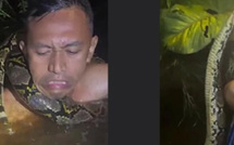 نجات مرشد سياحي في إندونيسيا بعد هجوم ثعبان ضخم على نهر بورنيو