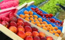 ​المغرب واستكشاف فرص السوق الإفريقية في القطاع الغذائي