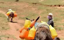 ​تعزيز التنمية القروية المتكاملة عبر إطلاق 36 مركزاً نموذجياً ضمن قانون مالية 2026