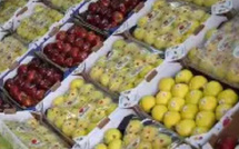 ​المغرب يطلق حملة تصدير جديدة للفاكهة والخضروات 2025-2026