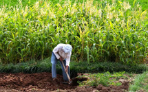 الأمطار في الدار البيضاء-سطات: دينامية جديدة للموسم الزراعي