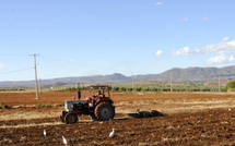 تساقطات مطرية مهمة تهدئ قلوب الفلاحين بجهة الدار البيضاء سطات